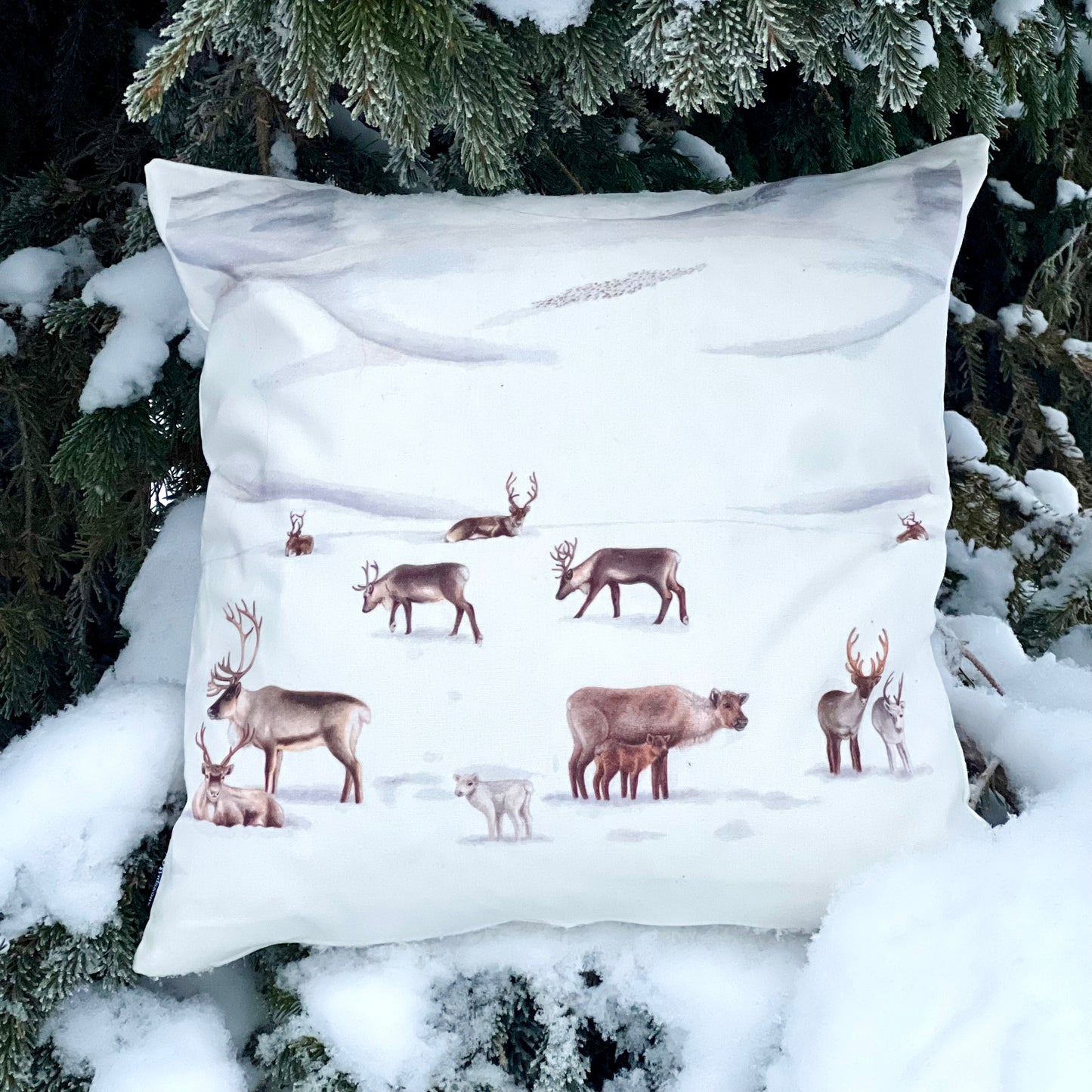 Kuddfodral Renfjället Lapporten 45x45cm