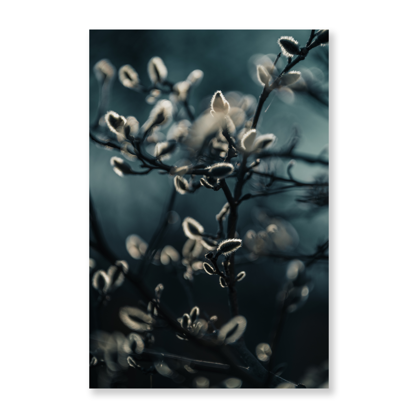 Poster Vide