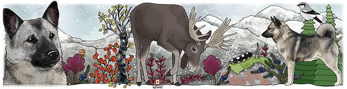 Eplaros emaljmugg Gråhund