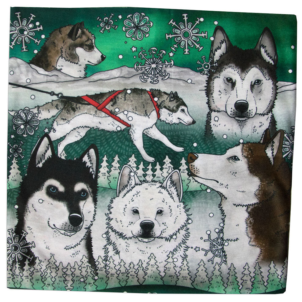 Motiv Polarhundar husky av Eplaros.