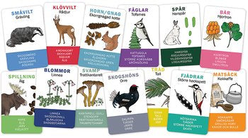 Eplaros spel Finns i skogen