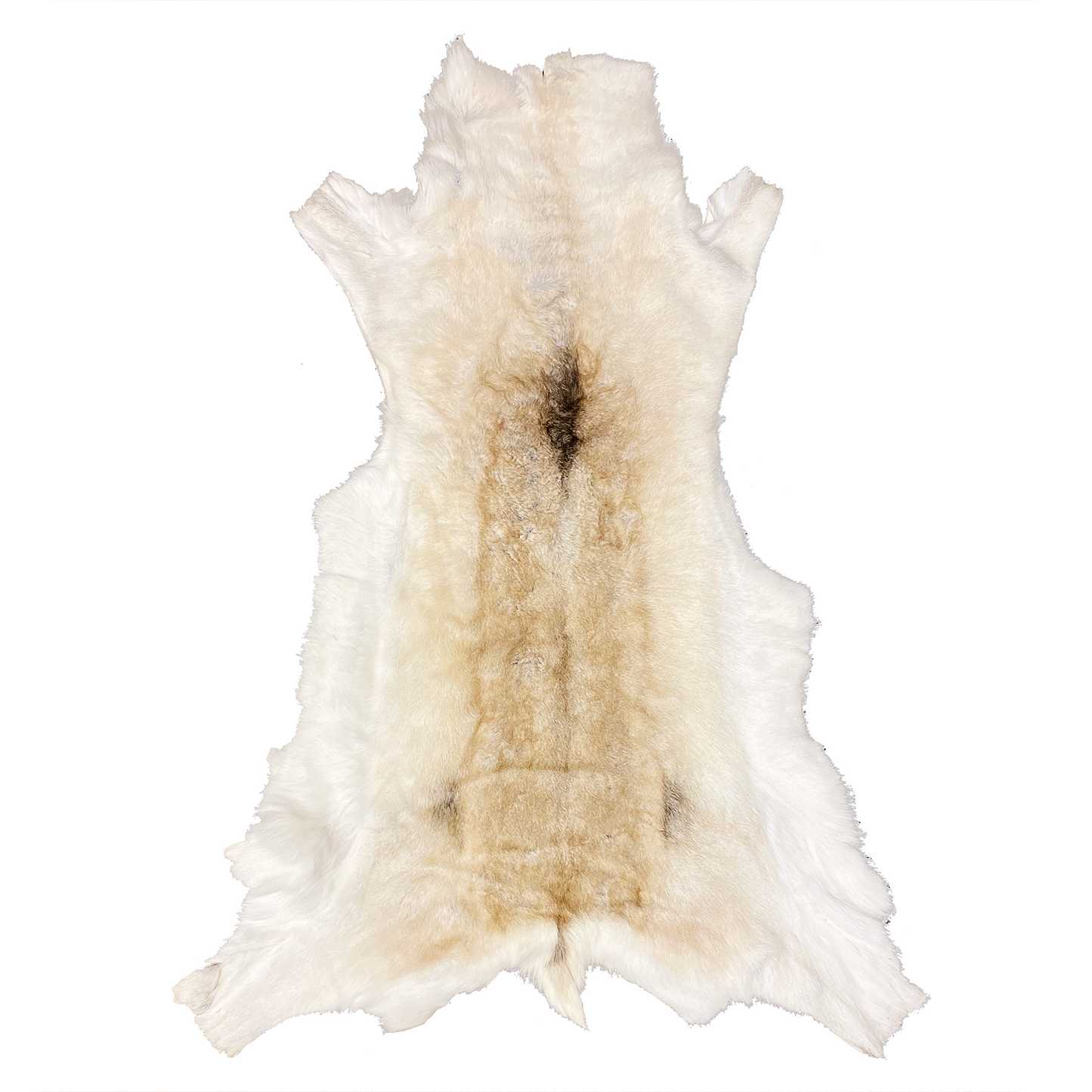 Renskinn inomhusbruk