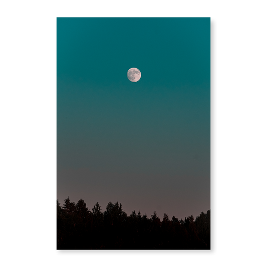 Poster Moody Moon