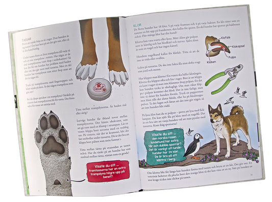 Eplaros Lilla veterinärskolan - Din hund från nos till svans