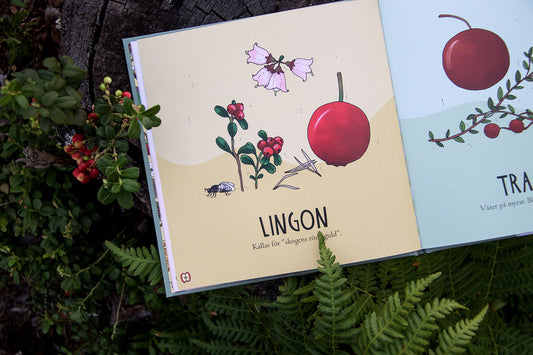 Eplaros Pekbok Upptäck naturen Bär & svampar