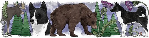 Eplaros emaljmugg Karelsk björnhund