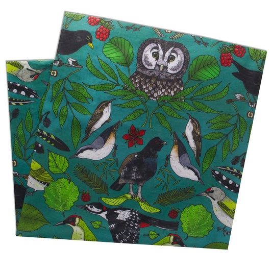 Eplaros multiscarf Skogsfåglar