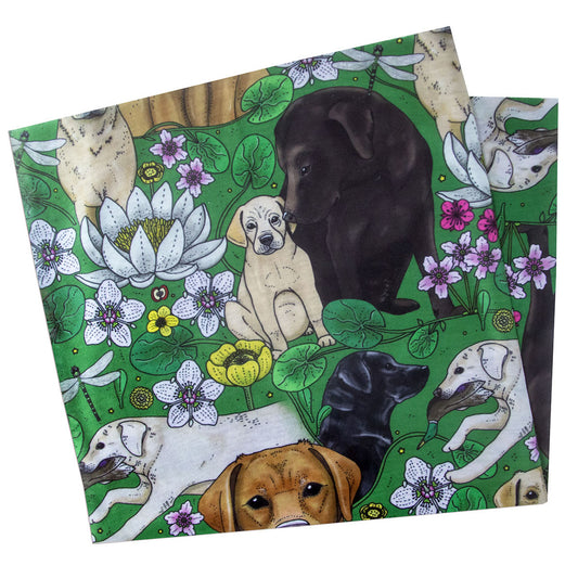 Eplaros multiscarf labradorer