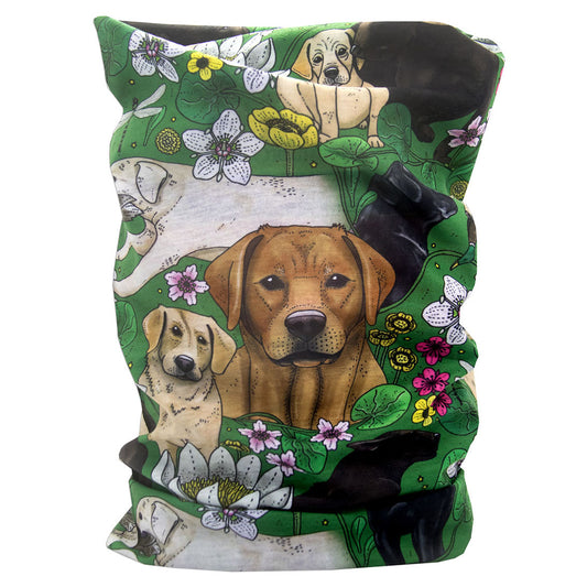 Eplaros multiscarf labradorer