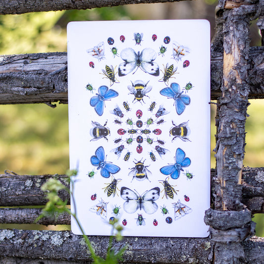 Skärbräda Svenska insekter