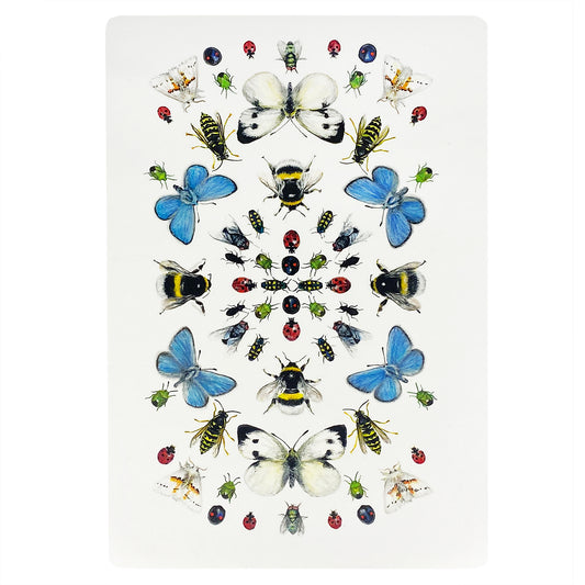 Skärbräda Svenska insekter